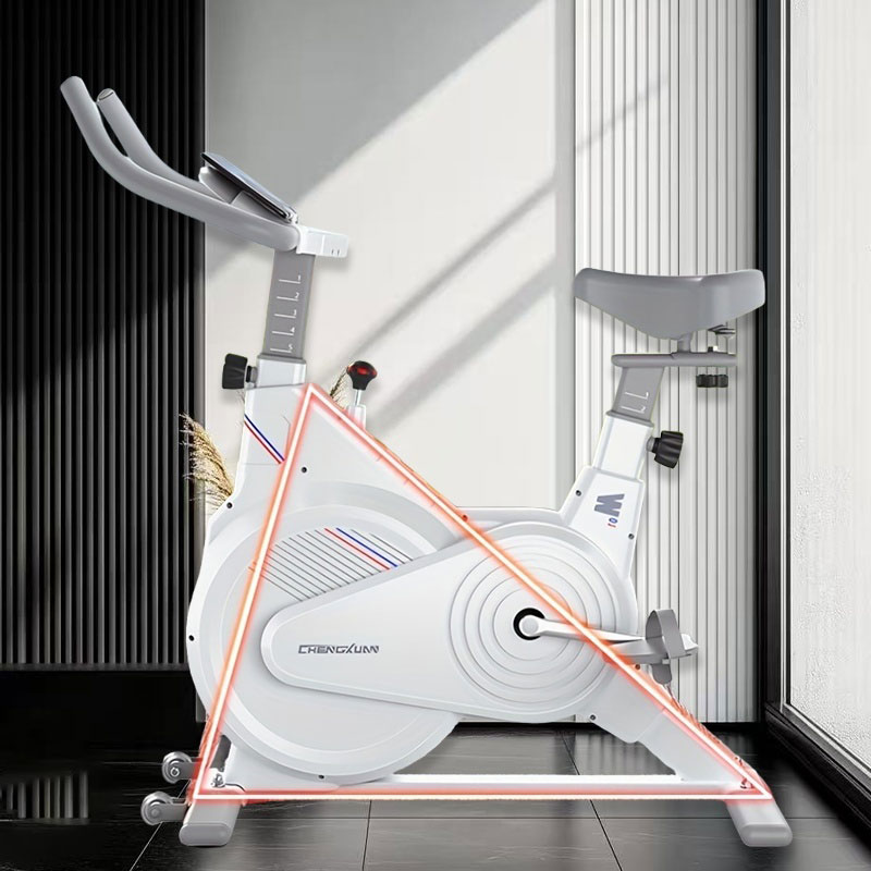 Stationäres Indoor-Spin-Bike,  – Exercise Bike Magnetic Resistance Bewertung und Preis